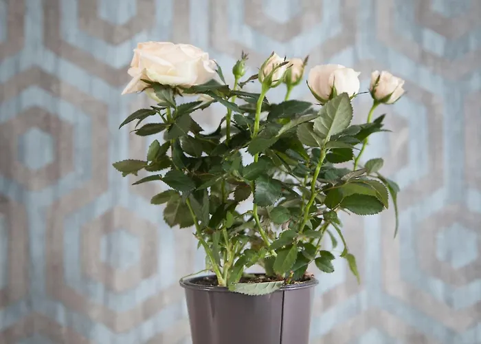 Hotel Chabrol Opera 3*